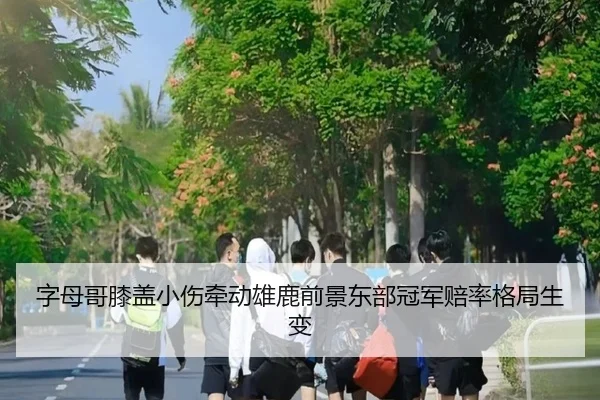 字母哥膝盖小伤牵动雄鹿前景东部冠军赔率格局生变