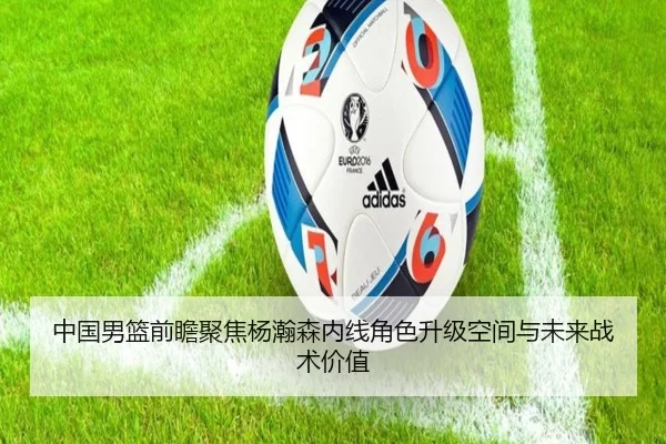中国男篮前瞻聚焦杨瀚森内线角色升级空间与未来战术价值